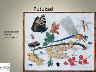 Putukad
Jan van Kesseli
õlimaal
aastast 1653
 