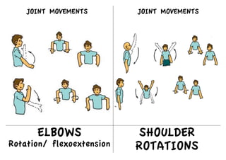 ELBOWS
Rotation/ flexoextension
SHOULDER
ROTATIONS
JOINT MOVEMENTS
JOINT MOVEMENTS