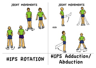 HIPS ROTATION
HIPS Adduction/
Abduction
JOINT MOVEMENTS
JOINT MOVEMENTS