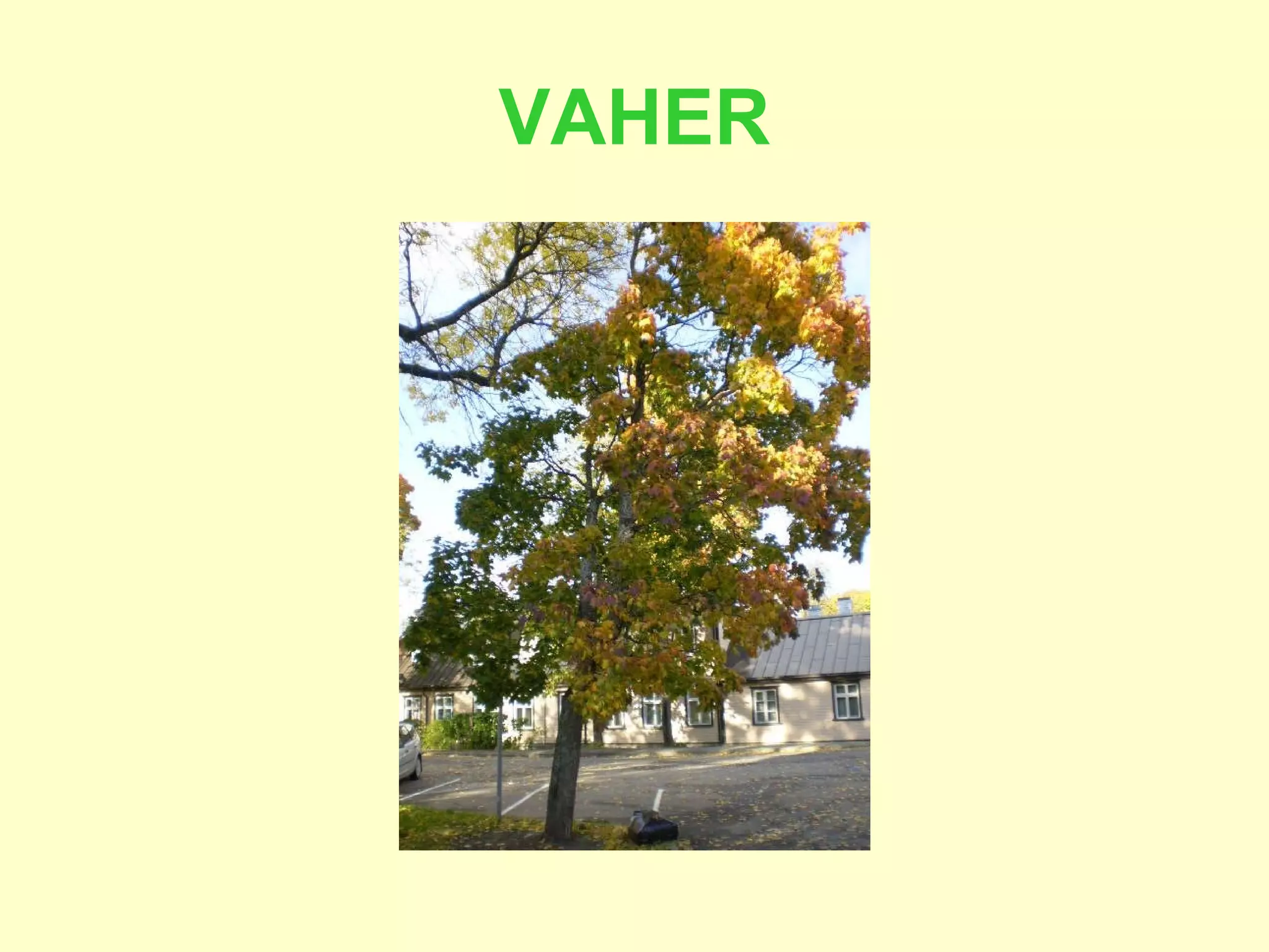 VAHER 