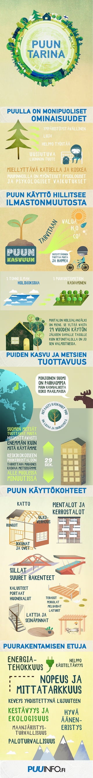 Puun tarina Infograafi