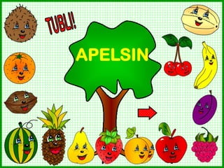 APELSIN

 