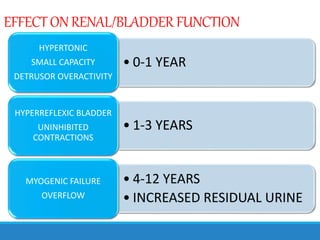 EFFECTON RENAL/BLADDERFUNCTION
• 0-1 YEAR
HYPERTONIC
SMALL CAPACITY
DETRUSOR OVERACTIVITY
• 1-3 YEARS
HYPERREFLEXIC BLADDER
UNINHIBITED
CONTRACTIONS
• 4-12 YEARS
• INCREASED RESIDUAL URINE
MYOGENIC FAILURE
OVERFLOW
 