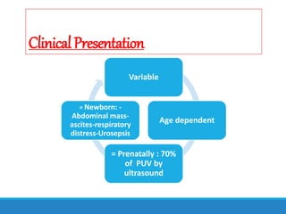ClinicalPresentation
Variable
Age dependent
= Prenatally : 70%
of PUV by
ultrasound
= Newborn: -
Abdominal mass-
ascites-respiratory
distress-Urosepsis
 