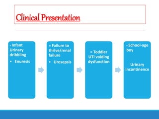 ClinicalPresentation
= Infant
Urinary
dribbling
• Enuresis
= Failure to
thrive/renal
failure
• Urosepsis
= Toddler
UTI voiding
dysfunction
= School-age
boy
Urinary
incontinence
 