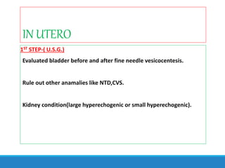 IN UTERO
1ST STEP-( U.S.G.)
Evaluated bladder before and after fine needle vesicocentesis.
Rule out other anamalies like NTD,CVS.
Kidney condition(large hyperechogenic or small hyperechogenic).
 