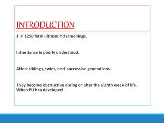 INTRODUCTION
1 in 1250 fetal ultrasound screenings.
Inheritance is poorly understood.
Affect siblings, twins, and successive generations.
They become obstructive during or after the eighth week of life.
When PU has developed
 