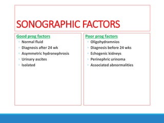 SONOGRAPHIC FACTORS
Good prog factors
◦ Normal fluid
◦ Diagnosis after 24 wk
◦ Asymmetric hydronephrosis
◦ Urinary ascites
◦ Isolated
Poor prog factors
◦ Oligohydramnios
◦ Diagnosis before 24 wks
◦ Echogenic kidneys
◦ Perinephric urinoma
◦ Associated abnormalities
 