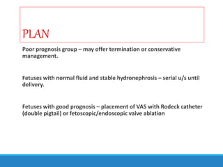 PLAN
Poor prognosis group – may offer termination or conservative
management.
Fetuses with normal fluid and stable hydronephrosis – serial u/s until
delivery.
Fetuses with good prognosis – placement of VAS with Rodeck catheter
(double pigtail) or fetoscopic/endoscopic valve ablation
 