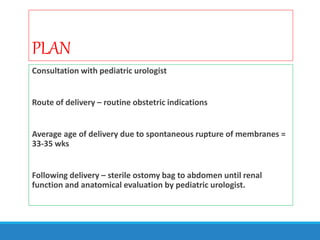 PLAN
Consultation with pediatric urologist
Route of delivery – routine obstetric indications
Average age of delivery due to spontaneous rupture of membranes =
33-35 wks
Following delivery – sterile ostomy bag to abdomen until renal
function and anatomical evaluation by pediatric urologist.
 