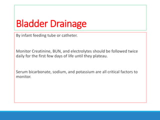 Bladder Drainage
By infant feeding tube or catheter.
Monitor Creatinine, BUN, and electrolytes should be followed twice
daily for the first few days of life until they plateau.
Serum bicarbonate, sodium, and potassium are all critical factors to
monitor.
 