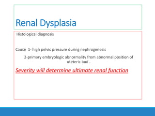 Renal Dysplasia
Histological diagnosis
Cause 1- high pelvic pressure during nephrogenesis
2-primary embryologic abnormality from abnormal position of
uteteric bud .
Severity will determine ultimate renal function
 