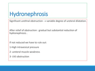 Hydronephrosis
Significant urethral obstruction  variable degree of ureteral dilatation.
After relief of obstruction : gradual but substantial reduction of
hydronephrosis .
If not reduced we have to rule out:
1-High intravesical pressure
2- ureteral muscle weakness
3- UVJ obstruction
 