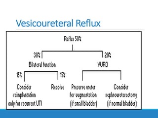Vesicoureteral Reflux
50% VUR at time of diagnosis
Primary or Secondary
 