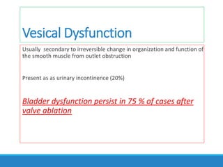 Vesical Dysfunction
Usually secondary to irreversible change in organization and function of
the smooth muscle from outlet obstruction
Present as as urinary incontinence (20%)
Bladder dysfunction persist in 75 % of cases after
valve ablation
 
