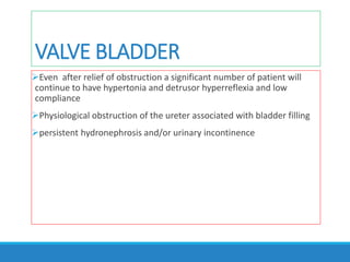 VALVE BLADDER
Even after relief of obstruction a significant number of patient will
continue to have hypertonia and detrusor hyperreflexia and low
compliance
Physiological obstruction of the ureter associated with bladder filling
persistent hydronephrosis and/or urinary incontinence
 