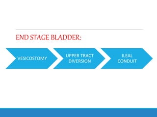 END STAGE BLADDER:
VESICOSTOMY
UPPER TRACT
DIVERSION
ILEAL
CONDUIT
 