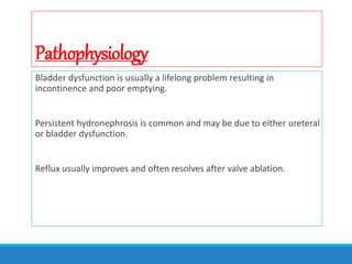 Pathophysiology
Bladder dysfunction is usually a lifelong problem resulting in
incontinence and poor emptying.
Persistent hydronephrosis is common and may be due to either ureteral
or bladder dysfunction.
Reflux usually improves and often resolves after valve ablation.
 