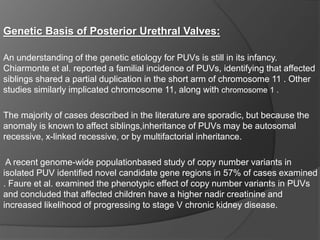 Genetic Basis of Posterior Urethral Valves:
An understanding of the genetic etiology for PUVs is still in its infancy.
Chiarmonte et al. reported a familial incidence of PUVs, identifying that affected
siblings shared a partial duplication in the short arm of chromosome 11 . Other
studies similarly implicated chromosome 11, along with chromosome 1 .
The majority of cases described in the literature are sporadic, but because the
anomaly is known to affect siblings,inheritance of PUVs may be autosomal
recessive, x-linked recessive, or by multifactorial inheritance.
A recent genome-wide populationbased study of copy number variants in
isolated PUV identified novel candidate gene regions in 57% of cases examined
. Faure et al. examined the phenotypic effect of copy number variants in PUVs
and concluded that affected children have a higher nadir creatinine and
increased likelihood of progressing to stage V chronic kidney disease.
 