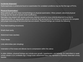 Incidental diagnosis*
Hydronephrosis or proteinuria found on examination for unrelated conditions may be the first sign of PUVs.
Physical Examination*
Most patients with PUV have normal findings on physical examination. When present, abnormal physical
findings are the result of severe renal insufficiency.
Neonates may present with severe pulmonary distress caused by lung underdevelopment lung due to
oligohydramnios. An appropriate volume of amniotic fluid (produced by the kidneys) is necessary for complete
and proper branching of the bronchial tree and alveoli. Physical findings can include the following:
Poor fetal breathing movements
Small chest cavity
Abdominal mass (ascites)
Potter facies
Limb deformities (skin dimpling)
Indentation of the knees and elbows due to compression within the uterus
In older children, physical findings can include poor growth, hypertension, and lethargy. An intermittent or weak
urinary stream is an unreliable sign. A large lower abdominal mass may represent a markedly distended urinary
bladder.
 