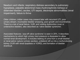 Newborn and infants: respiratory distress secondary to pulmonary
hypoplasia, palpable abdominal mass (hydronephrotic kidneys or
distended bladder), ascites, UTI sepsis, electrolyte abnormalities (renal
impairment), failure to thrive
Older children: milder cases may present later with recurrent UTI, poor
urinary stream, incomplete bladder emptying, poor growth and incontinence.
There is a risk of renal failure, VUR, and voiding dysfunction (over or
underactive bladder), also described as ‘valve bladder syndrome’.
Associated features: ‘pop-off valve syndrome’ is seen in 20%. It describes
mechanisms by which high urinary tract pressure is dissipated to allow
normal renal development. It includes leaking of urine from a small bladder
or renal pelvis rupture (urinary ascites), unilateral refl ux into a nonfunctioning
kidney (VUR with renal dysplasia or VURD), and formation of bladder
diverticuli.
 