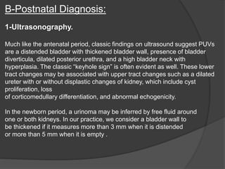 B-Postnatal Diagnosis:
1-Ultrasonography.
Much like the antenatal period, classic findings on ultrasound suggest PUVs
are a distended bladder with thickened bladder wall, presence of bladder
diverticula, dilated posterior urethra, and a high bladder neck with
hyperplasia. The classic “keyhole sign” is often evident as well. These lower
tract changes may be associated with upper tract changes such as a dilated
ureter with or without displastic changes of kidney, which include cyst
proliferation, loss
of corticomedullary differentiation, and abnormal echogenicity.
In the newborn period, a urinoma may be inferred by free fluid around
one or both kidneys. In our practice, we consider a bladder wall to
be thickened if it measures more than 3 mm when it is distended
or more than 5 mm when it is empty .
 