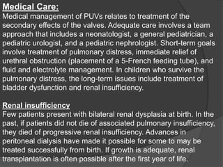 Medical Care:
Medical management of PUVs relates to treatment of the
secondary effects of the valves. Adequate care involves a team
approach that includes a neonatologist, a general pediatrician, a
pediatric urologist, and a pediatric nephrologist. Short-term goals
involve treatment of pulmonary distress, immediate relief of
urethral obstruction (placement of a 5-French feeding tube), and
fluid and electrolyte management. In children who survive the
pulmonary distress, the long-term issues include treatment of
bladder dysfunction and renal insufficiency.
Renal insufficiency
Few patients present with bilateral renal dysplasia at birth. In the
past, if patients did not die of associated pulmonary insufficiency,
they died of progressive renal insufficiency. Advances in
peritoneal dialysis have made it possible for some to may be
treated successfully from birth. If growth is adequate, renal
transplantation is often possible after the first year of life.
 