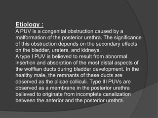 Etiology :
A PUV is a congenital obstruction caused by a
malformation of the posterior urethra. The significance
of this obstruction depends on the secondary effects
on the bladder, ureters, and kidneys.
A type I PUV is believed to result from abnormal
insertion and absorption of the most distal aspects of
the wolffian ducts during bladder development. In the
healthy male, the remnants of these ducts are
observed as the plicae colliculi. Type III PUVs are
observed as a membrane in the posterior urethra
believed to originate from incomplete canalization
between the anterior and the posterior urethra.
 