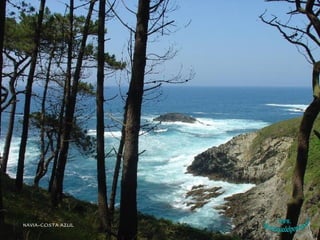 NAVIA-COSTA AZUL www. laboutiquedelpowerpoint. com 