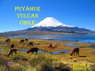 Puyahue VulcanChile Helga design 