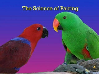 The Science of Pairing 