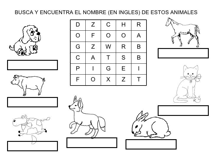puzzles en ingles