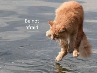 Be not
afraid
 