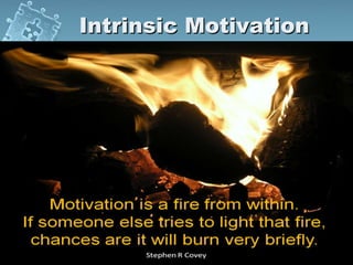 Intrinsic Motivation
 