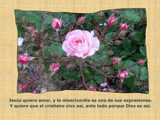 Jesús quiere amor, y la misericordia es una de sus expresiones.
Y quiere que el cristiano viva así, ante todo porque Dios es así.
 