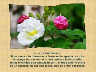 «…y no sacrificios».
Si no amas a tu hermano, a Jesús no le agrada tu culto.
  No acoge tu oración, ni tu asistencia a la Eucaristía,
ni las ofrendas que puedas hacer… si todo ello no brota
de un corazón en paz con todos, rico de amor por todos.
 