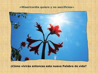 «Misericordia quiero y no sacrificios»




¿Cómo vivirás entonces esta nueva Palabra de vida?
 