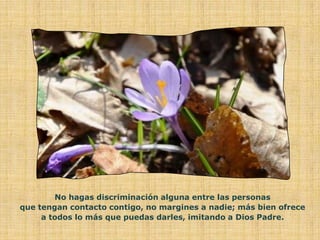 No hagas discriminación alguna entre las personas
que tengan contacto contigo, no margines a nadie; más bien ofrece
     a todos lo más que puedas darles, imitando a Dios Padre.
 