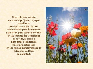 Si toda la ley consiste
en amar al prójimo, hay que
considerar
los demás mandamientos
como medios para iluminarnos
y guiarnos para saber encontrar
en las intrincadas situaciones
de la vida, el camino
para amar a los demás;
hace falta saber leer
en los demás mandamientos la
intención de Dios,
su voluntad.
 