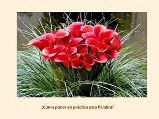 ¿Cómo poner en práctica esta Palabra?
 