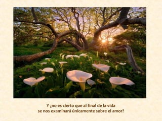 Y ¿no es cierto que al final de la vida
se nos examinará únicamente sobre el amor?
 