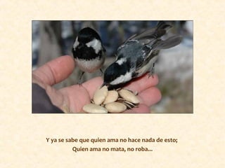 Y ya se sabe que quien ama no hace nada de esto;
Quien ama no mata, no roba...
 