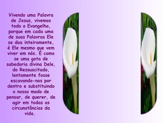 Vivendo uma Palavra
  de Jesus, vivemos
  todo o Evangelho,
 porque em cada uma
 de suas Palavras Ele
 se doa inteiramente,
é Ele mesmo que vem
viver em nós. É como
    se uma gota de
sabedoria divina Dele,
   do Ressuscitado,
   lentamente fosse
  escavando-nos por
dentro e substituindo
    o nosso modo de
pensar, de querer, de
   agir em todas as
   circunstâncias da
         vida.
 