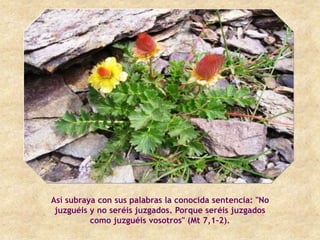 Así subraya con sus palabras la conocida sentencia: "No
 juzguéis y no seréis juzgados. Porque seréis juzgados
          como juzguéis vosotros" (Mt 7,1-2).
 