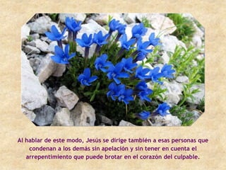 Al hablar de este modo, Jesús se dirige también a esas personas que
    condenan a los demás sin apelación y sin tener en cuenta el
   arrepentimiento que puede brotar en el corazón del culpable.
 