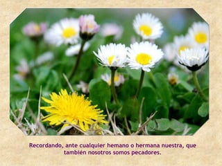 Recordando, ante cualquier hemano o hermana nuestra, que
           también nosotros somos pecadores.
 