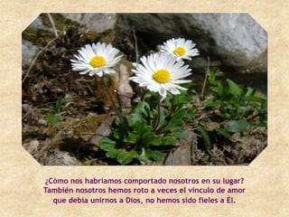 ¿Cómo nos habríamos comportado nosotros en su lugar?
También nosotros hemos roto a veces el vínculo de amor
  que debía unirnos a Dios, no hemos sido fieles a Él.
 