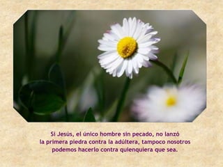 Si Jesús, el único hombre sin pecado, no lanzó
la primera piedra contra la adúltera, tampoco nosotros
     podemos hacerlo contra quienquiera que sea.
 