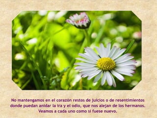 No mantengamos en el corazón restos de juicios o de resentimientos
donde puedan anidar la ira y el odio, que nos alejan de los hermanos.
             Veamos a cada uno como si fuese nuevo.
 