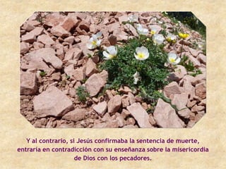 Y al contrario, si Jesús confirmaba la sentencia de muerte,
entraría en contradicción con su enseñanza sobre la misericordia
                     de Dios con los pecadores.
 